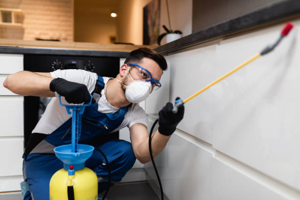Best Bed Bug Extermination  in Gordon, GA