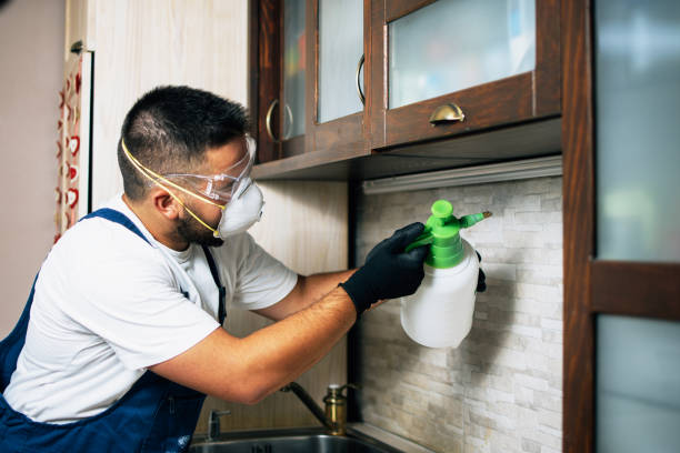 Best Wildlife Control Services  in Gordon, GA