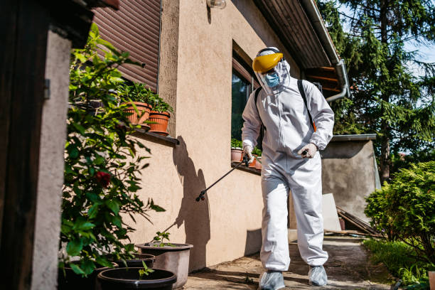 Best Affordable Pest Control Services  in Gordon, GA