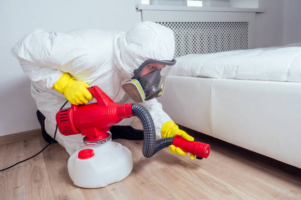 Best Wasp Removal Services  in Gordon, GA