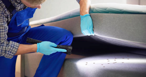 Best Ant Control Services  in Gordon, GA