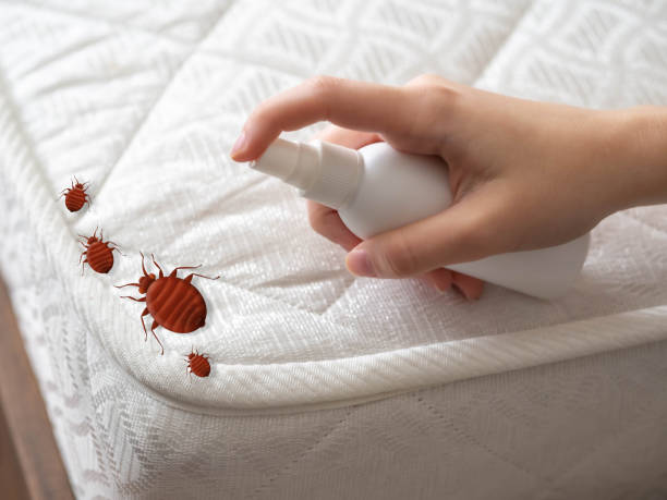 Best Insect Control  in Gordon, GA