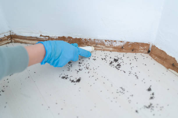 Trusted Gordon, GA Pest Control Experts